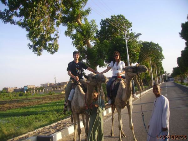 Paseo en Camello -Valle de los Reyes- Egipto