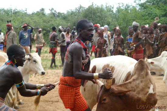 Selecionando el ganado - Valle del Omo - Etiopia
