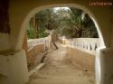 Go to big photo: Ghadames, old town, outlet to some orchards near the pond