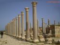 Go to big photo: Leptis Magna, one of the temples column line