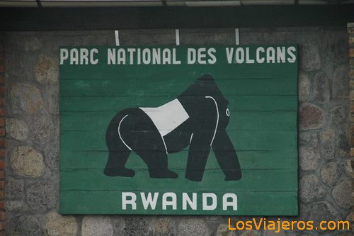 Parque Nacional de Los Volcanes - Ruanda