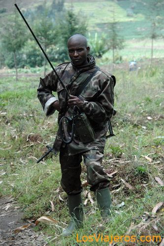 Ranger in Virunga Mountains - Rwanda
Ranger en las Montañas Virunga - Ruanda