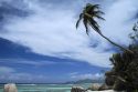 Tocando las nubes - Seychelles
Reaching high - Seychelles