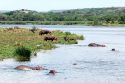 Parque Nacional Queen Elizabeth: Canal Kazinga - Uganda