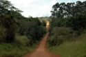 Caminos sin fin - Uganda