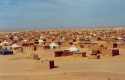 Ir a Foto: Vista de los campos saharauis - Tindouf - Argelia 
Go to Photo: Another view of the camps - Tindouf - Algeria