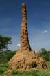 Enorme termitero - Etiopia