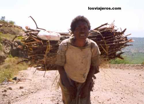 Mujer cargada en Arba Minch - Sur de Etiopia-
Woman with heavy load - Arba Minch - Sur de Etiopia- - Ethiopia