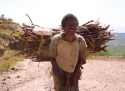 Ir a Foto: Mujer cargada en Arba Minch - Sur de Etiopia- 
Go to Photo: Woman with heavy load - Arba Minch - Sur de Etiopia-