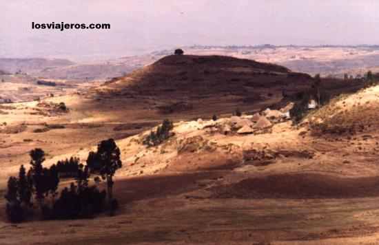 Landscape of the high lands of Ethiopia
Paisaje de las tierras altas de Etiopia