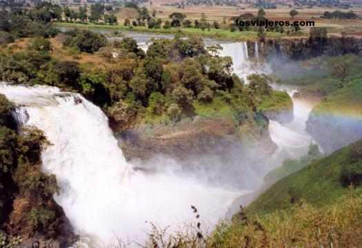 Cataratas del Nilo Azul - Tis Abay waterfalls - Etiopia
Cataratas del Nilo Azul - Tis Abay waterfalls - Ethiopia