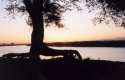 Ir a Foto: Atardecer en el Rio Omo 
Go to Photo: Sunset over the Omo river