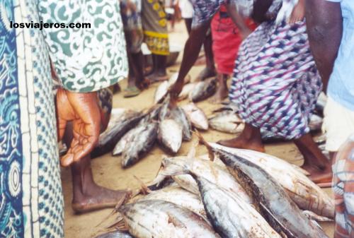 Selling Fishes in the Harbour - Shama - Ghana
Vendiendo el pescado en el puerto - Shama - Ghana