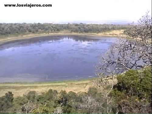 Lake Paradise - Marsabit - Kenya
Lago Paraiso - Marsabit. - Kenia