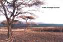 Turkana Lake