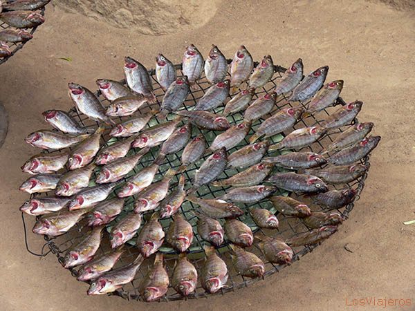 Pescado Ahumado -Djenné - Mali