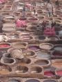Go to big photo: Leather dyeing - Fes
