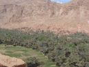 Oasis - Marruecos
Oasis - Morocco