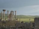 Ampliar Foto: Ruinas romanas de Volubilis