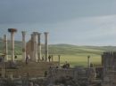 Ruinas romanas de Volubilis - Marruecos
Roman ruins of Volubilis - Morocco