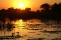 Atardecer en el Delta del Okavango, Bostwana - Namibia