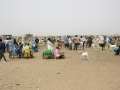 Ampliar Foto: Mercado de ganado (cabras) -Agadez -Niger