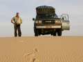 Ir a Foto: Un alto en el camino - Desierto del Tenere 
Go to Photo: A stop on the way - Tenere Desert