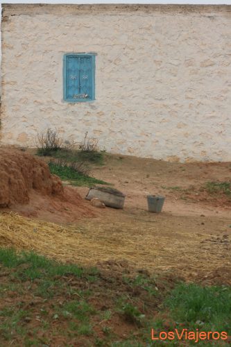 Colours - Tunisia
Colores - Tunez