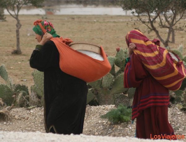 Mujeres - Tunez
Women - Tunisia