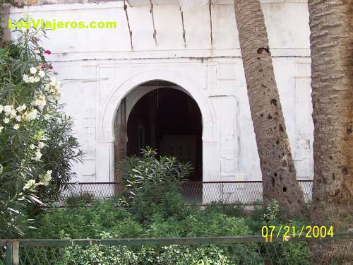 Palmera Milenaria - Tunez
Old Palm - Tunisia