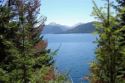 Ir a Foto: Isla Victoria - Bariloche, Rio Negro 
Go to Photo: Vistoria Island - Bariloche