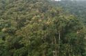 Bosque Nublado
Rain Forest
