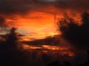Ir a Foto: Atardecer en Monteverde 
Go to Photo: Sunset in Monteverde