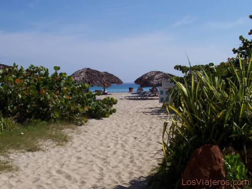 Beach -Varadero - Cuba
Playa -Varadero- Cuba