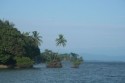 Ampliar Foto: Isla Bastimentos - Bocas del Toro