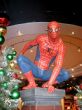 Ir a Foto: Spiderman esperando -Parques Universal Studios 
Go to Photo: Spiderman waiting.