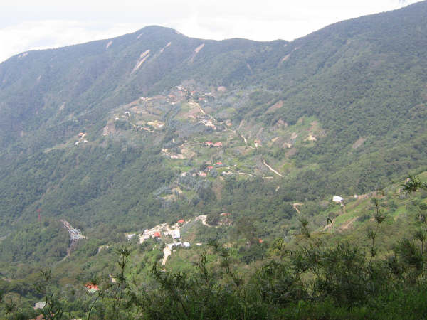 Cerro en el Parque Nacional El Ávila - Venezuela