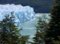 Ir a Foto: Canal de los Tempanos - Perito Moreno - Argentina 
Go to Photo: Perito Moreno - Argentina