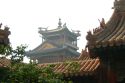 Decorated roofs of the Forbidden City - Beijing