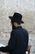 Go to big photo: Complaining Wall - Jerusalem