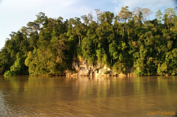 Río Kinabatangan - Sabah - Malasia