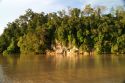 Ampliar Foto: Río Kinabatangan - Sabah - Malasia