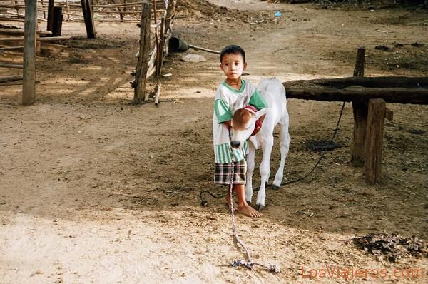 Niño en la aldea de Jua So-Bagan-Myanmar