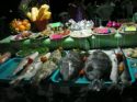 Oferta gastronomica en playa Alona - Filipinas
Fish on offer i Alona Beach - Philippines