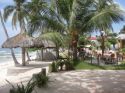 Ir a Foto: Playa Alona, Bohol 
Go to Photo: Alona Beach, Bohol