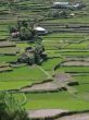 Rice terraces in Banaue - Philippines
Terrazas de arroz en Banaue - Filipinas