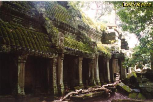 Galerías todavía en pie con las cubiertas de musgo - Angkor - Camboya