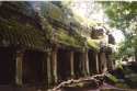 Still standing galleries with their roofs covered with moss - Angkor