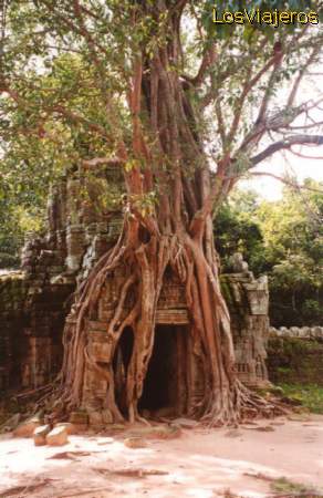 Ta Som gate crowned by a tree - Cambodia
Puerta en Ta Som coronada por un arbol - Camboya