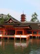 Go to big photo: Miyajima Shrine - Japan